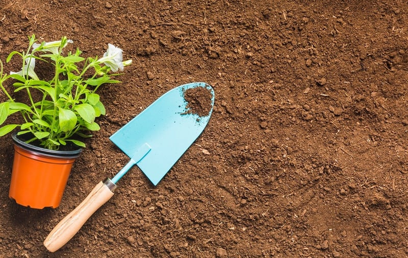 Plant a Garden